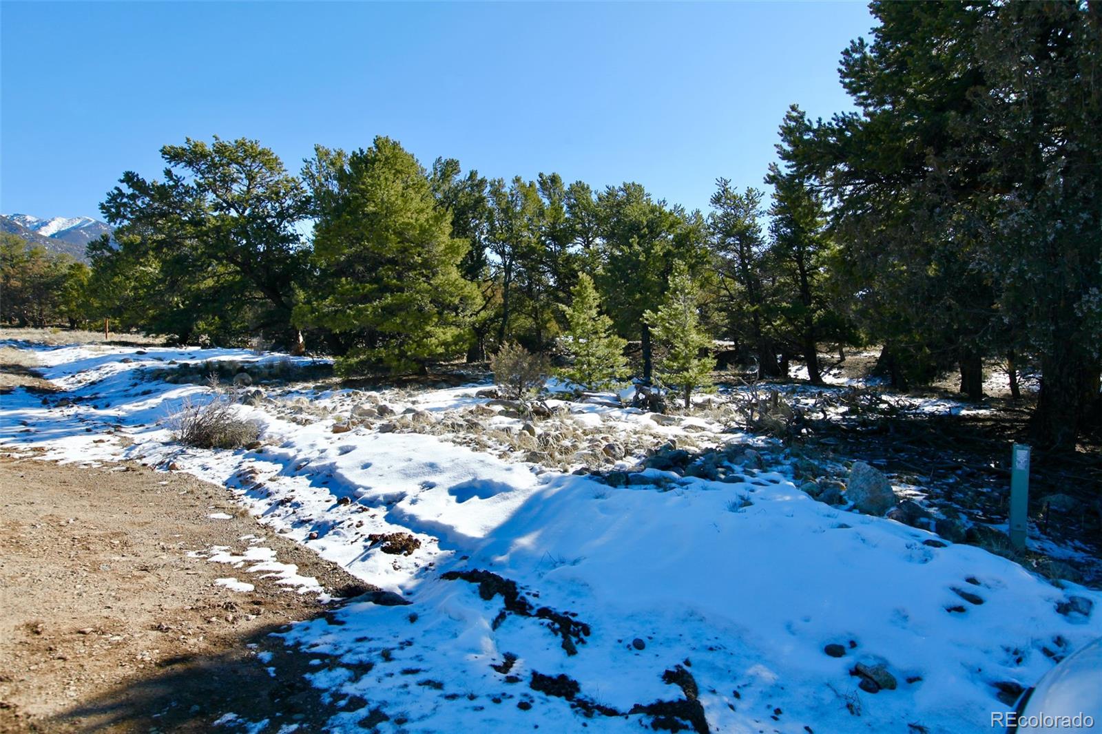 2058 Condor Overlook, Unit OVERLOOK Crestone, CO 81131 - Photo 23 of 24 a view of yard with tree in front of it