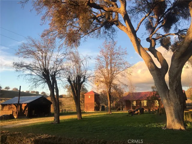 a view of outdoor space with garden