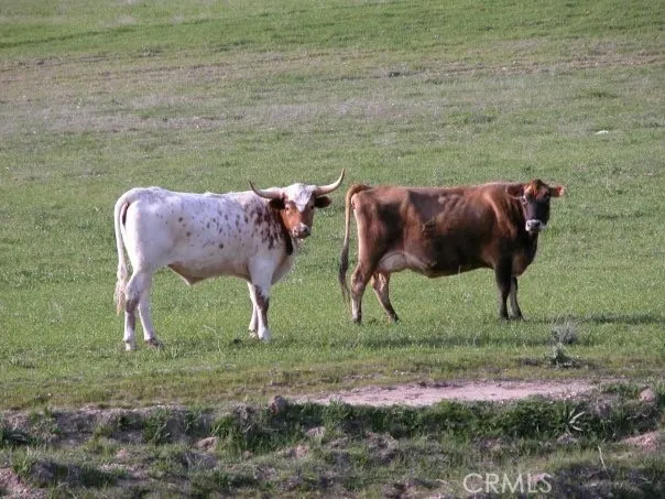 a view of swimming pool with an outdoor space
