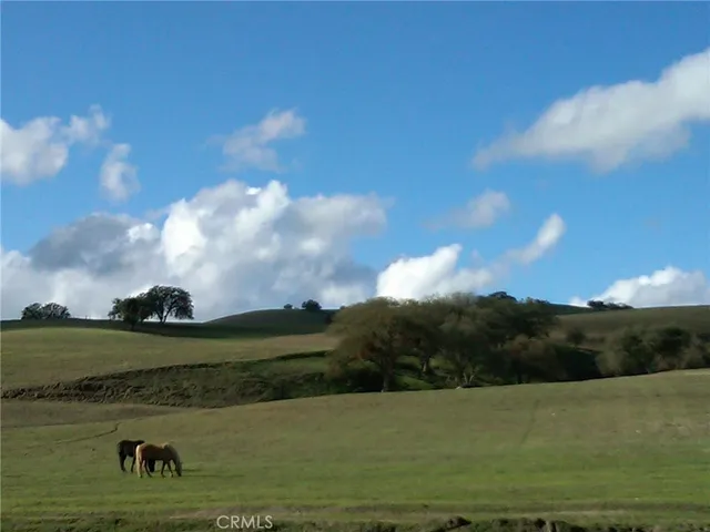 a view of a lake with a yard