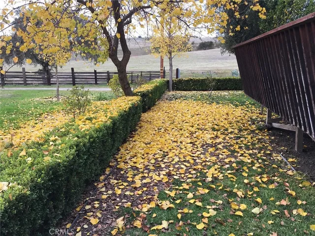 a view of flowers in a tree