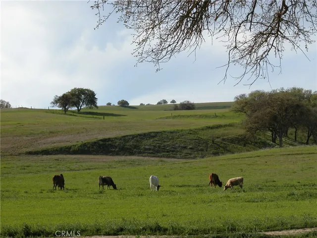 a view of outdoor space with green field with trees