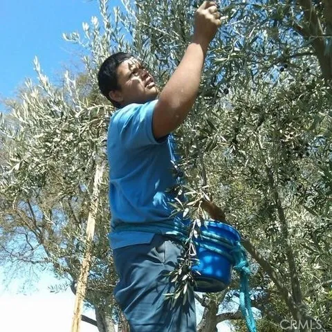 a view of white tub and chairs in a patio