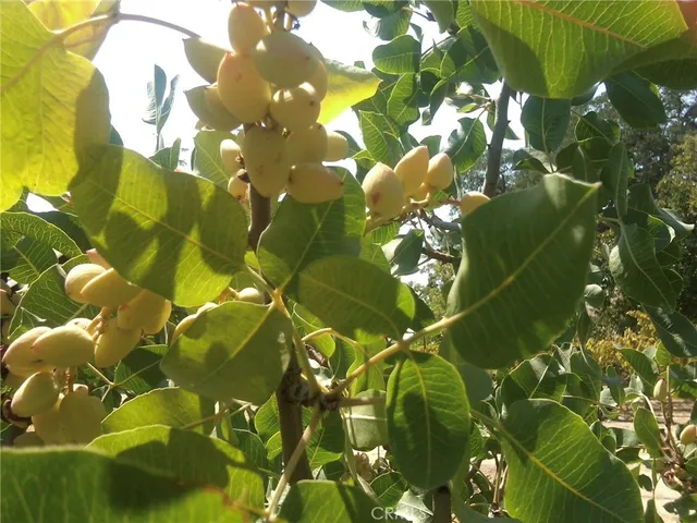 a view of a yard with a car park side of the road