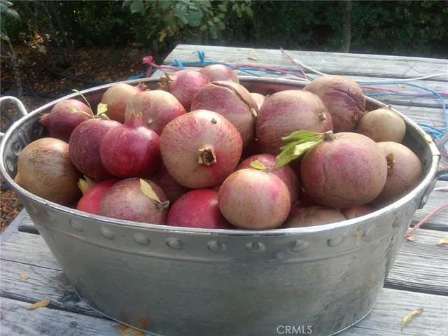 a view of outdoor space with green field and trees