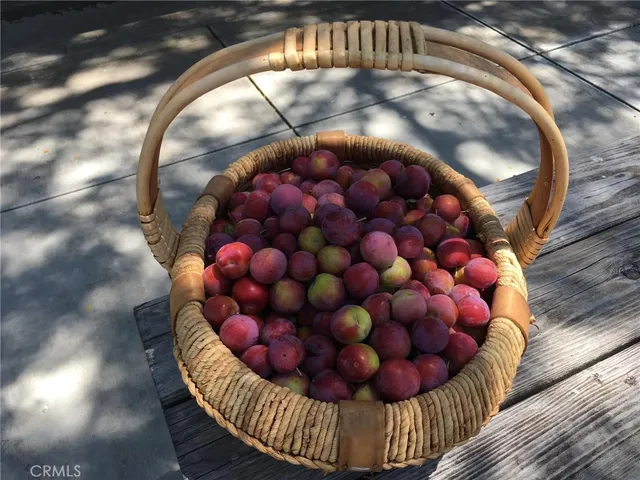 a living room with furniture rug and window