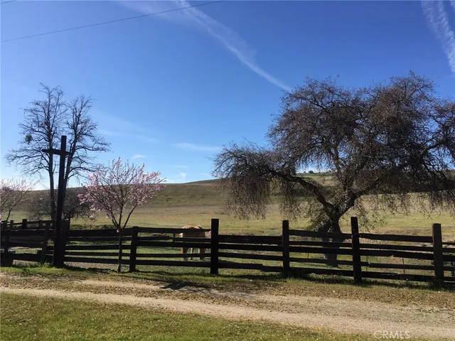 a view of a yard with wooden fence