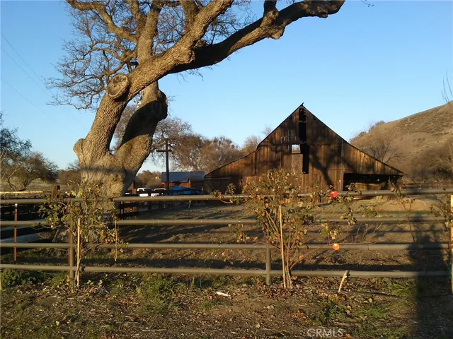 a view of a yard with trees