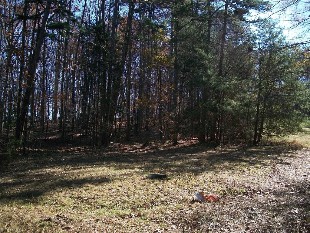3085 Flat Swamp Road Denton, NC 27239 - Photo 13 of 15 Gallery Image 13