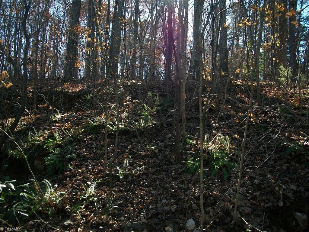 3085 Flat Swamp Road Denton, NC 27239 - Photo 15 of 15 Gallery Image 15