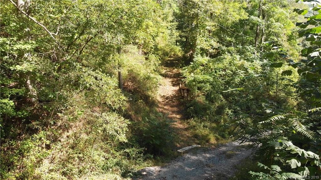 99999 Riddle Road, Unit 2 & 4 Swannanoa, NC 28778 - Photo 2 of 16 Gallery Image 2