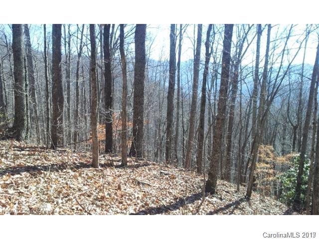 99999 Riddle Road, Unit 2 & 4 Swannanoa, NC 28778 - Photo 11 of 16 Gallery Image 11
