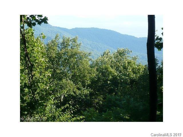 99999 Riddle Road, Unit 2 & 4 Swannanoa, NC 28778 - Photo 15 of 16 Gallery Image 15