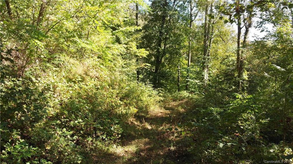 99999 Riddle Road, Unit 2 & 4 Swannanoa, NC 28778 - Photo 5 of 16 Gallery Image 5