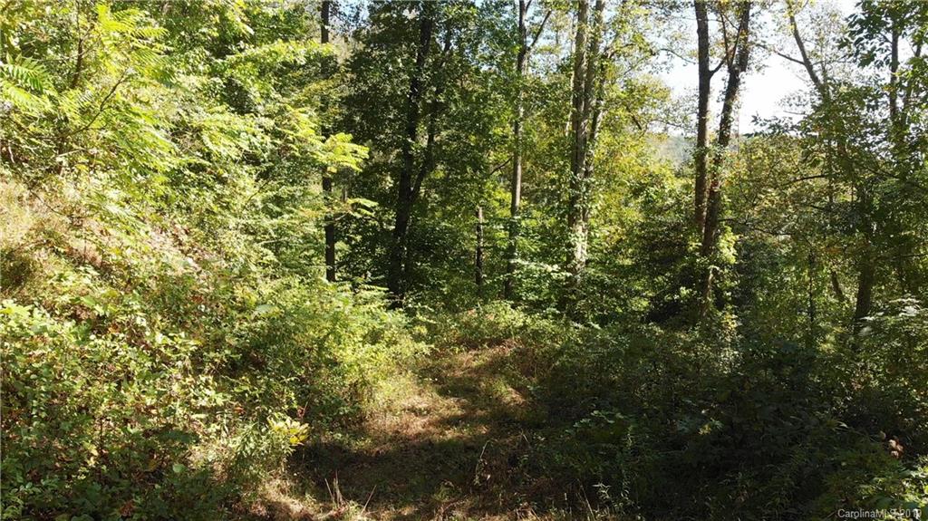 99999 Riddle Road, Unit 2 & 4 Swannanoa, NC 28778 - Photo 6 of 16 Gallery Image 6