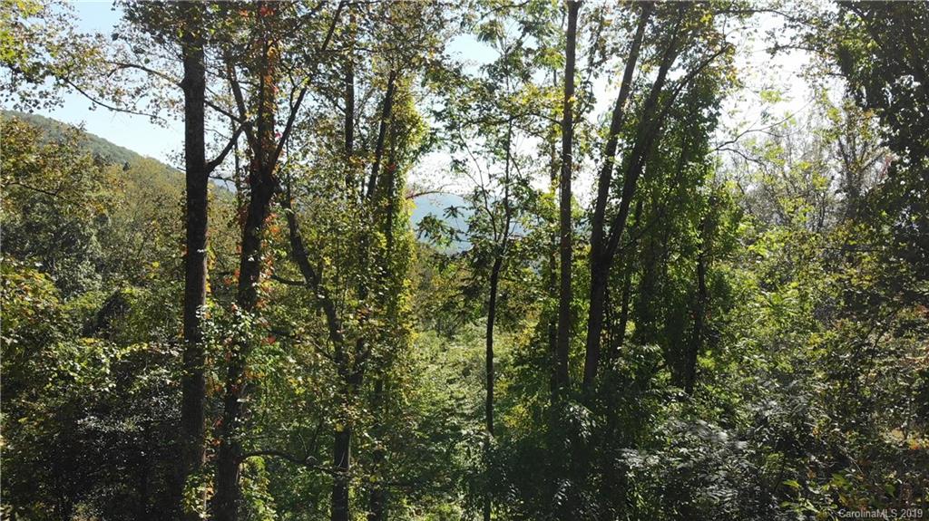 99999 Riddle Road, Unit 2 & 4 Swannanoa, NC 28778 - Photo 8 of 16 Gallery Image 8
