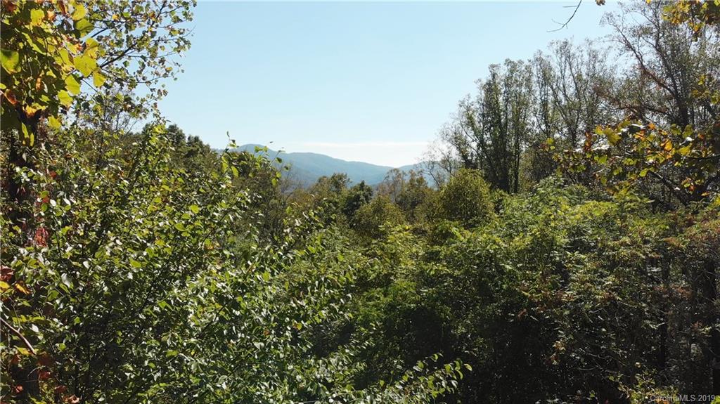 99999 Riddle Road, Unit 2 & 4 Swannanoa, NC 28778 - Photo 9 of 16 Gallery Image 9