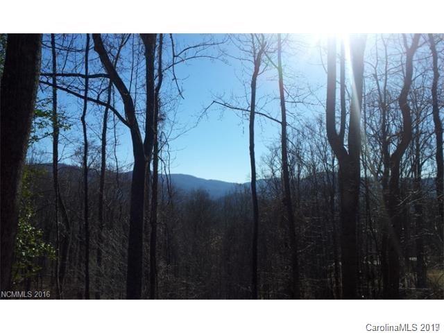 99999 Riddle Road, Unit 2 & 4 Swannanoa, NC 28778 - Photo 10 of 16 Gallery Image 10