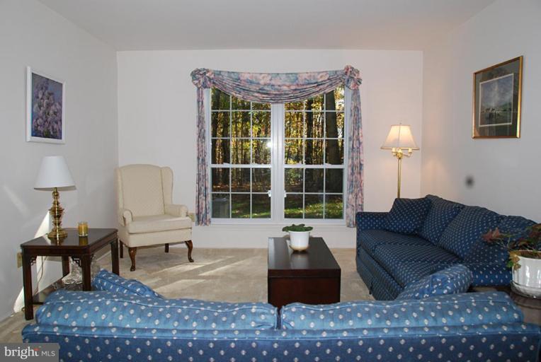 11313 Handlebar Road Reston, VA 20191 - Photo 11 of 29 More Lovely Windows with Backyard View!