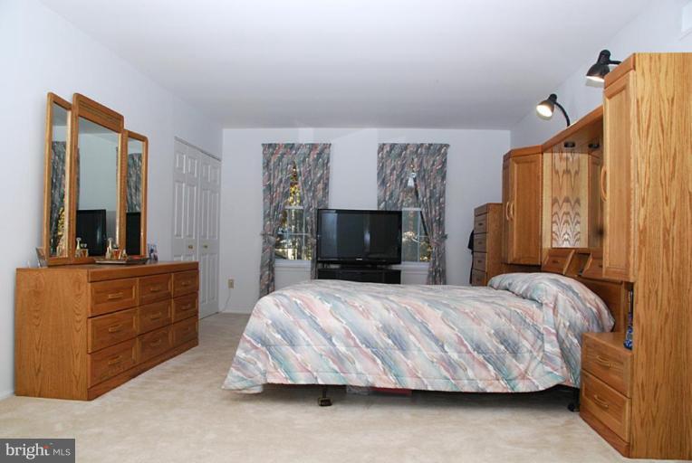 11313 Handlebar Road Reston, VA 20191 - Photo 12 of 29 Spacious & Bright Master BR-Walk-in Closet Plus!