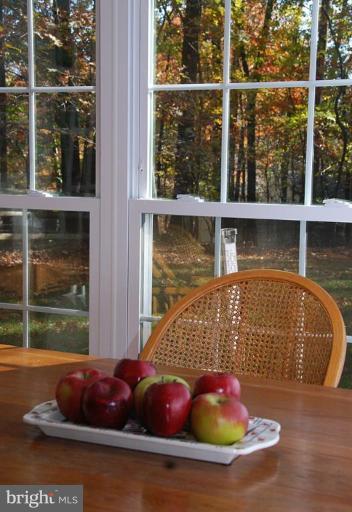 11313 Handlebar Road Reston, VA 20191 - Photo 21 of 29 Backyard View from Kitchen Table