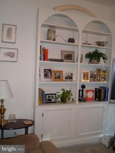 11313 Handlebar Road Reston, VA 20191 - Photo 28 of 29 Built In Cabinets Family Room