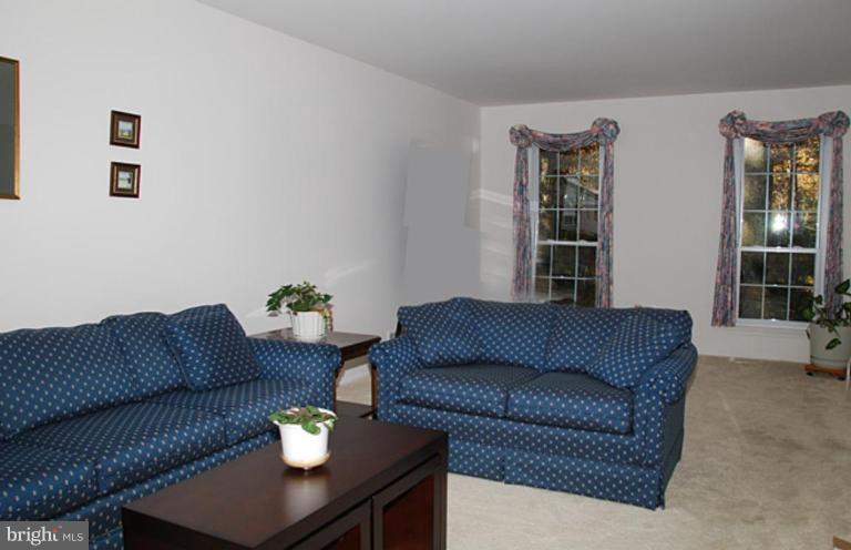 11313 Handlebar Road Reston, VA 20191 - Photo 9 of 29 Large LR Floor to Ceiling Windows