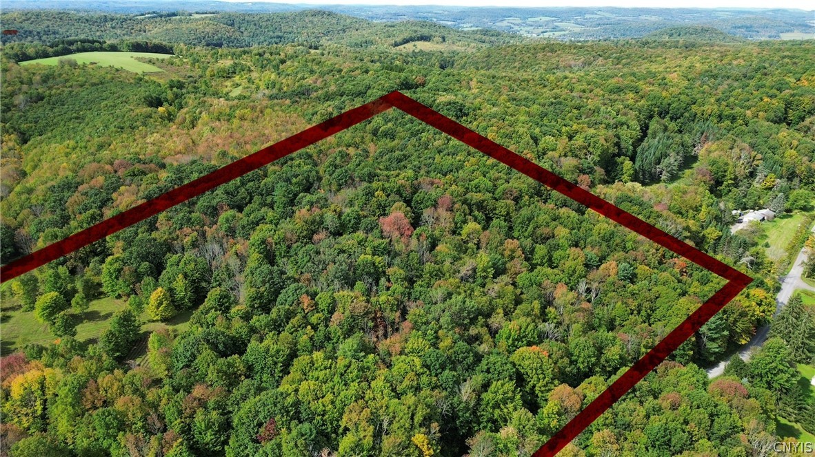 Lot 21 Buddle Road Richfield Springs, NY 13439 - Photo 2 of 21 Gallery Image 2