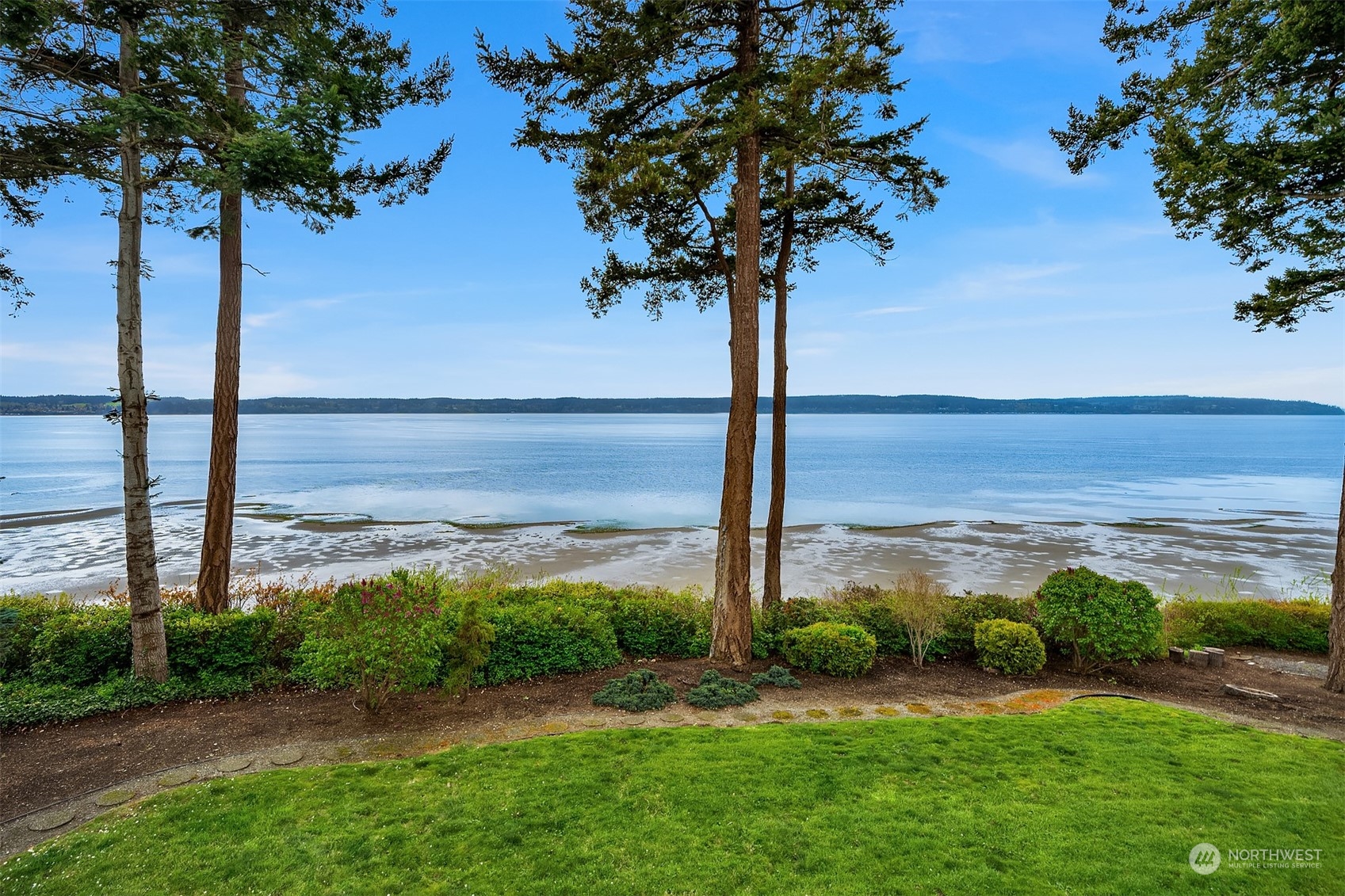 3480 Timothy Way Camano Island, WA 98282 - Photo 27 of 39 a view of a garden with a tree