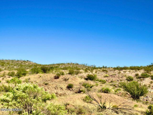 101 Acres Gleeson Az 85610 Pearce, AZ 85625 - Photo 11 of 24