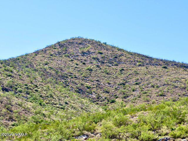 101 Acres Gleeson Az 85610 Pearce, AZ 85625 - Photo 12 of 24