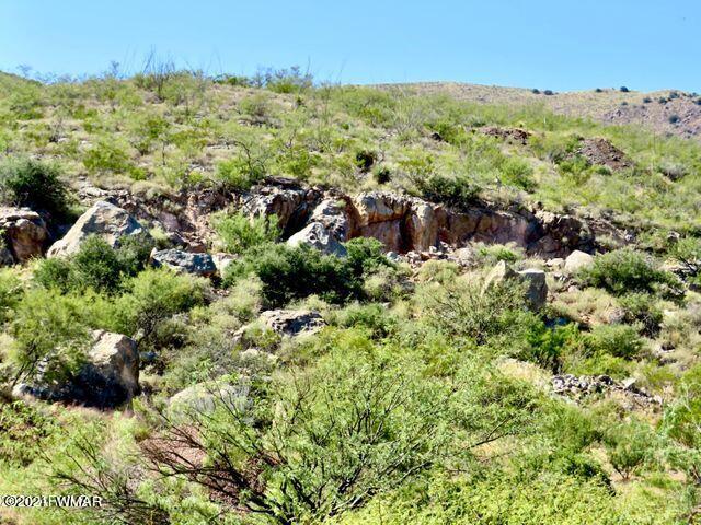 101 Acres Gleeson Az 85610 Pearce, AZ 85625 - Photo 13 of 24