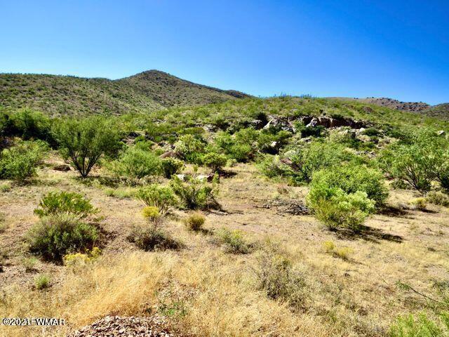 101 Acres Gleeson Az 85610 Pearce, AZ 85625 - Photo 15 of 24