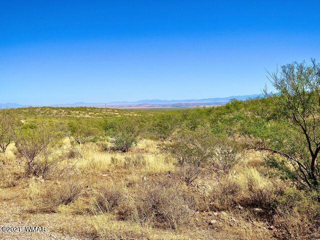 101 Acres Gleeson Az 85610 Pearce, AZ 85625 - Photo 17 of 24