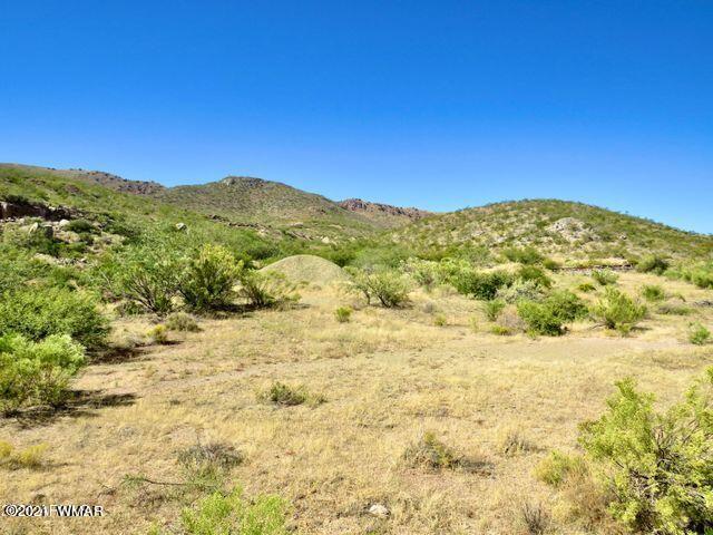 101 Acres Gleeson Az 85610 Pearce, AZ 85625 - Photo 18 of 24