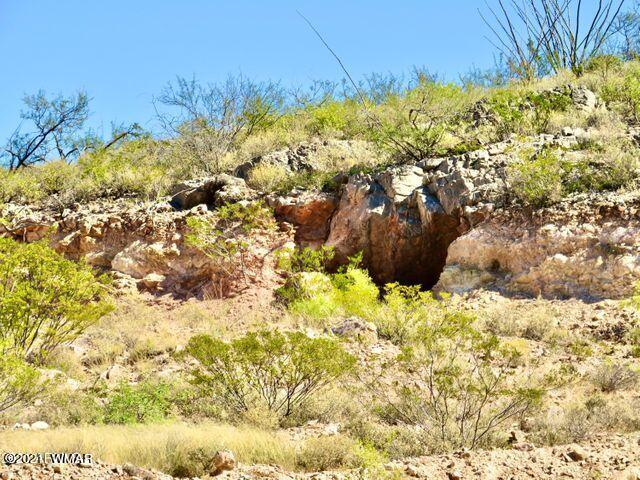 101 Acres Gleeson Az 85610 Pearce, AZ 85625 - Photo 19 of 24