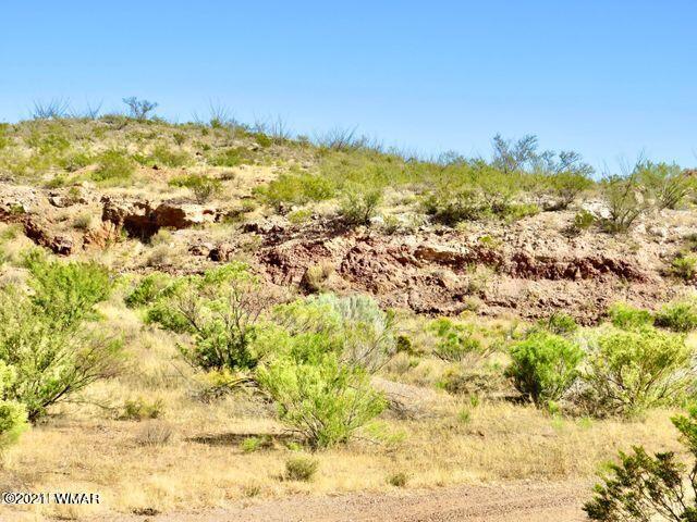 101 Acres Gleeson Az 85610 Pearce, AZ 85625 - Photo 20 of 24