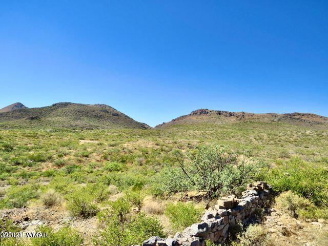 101 Acres Gleeson Az 85610 Pearce, AZ 85625 - Photo 2 of 24