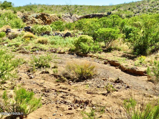 101 Acres Gleeson Az 85610 Pearce, AZ 85625 - Photo 22 of 24