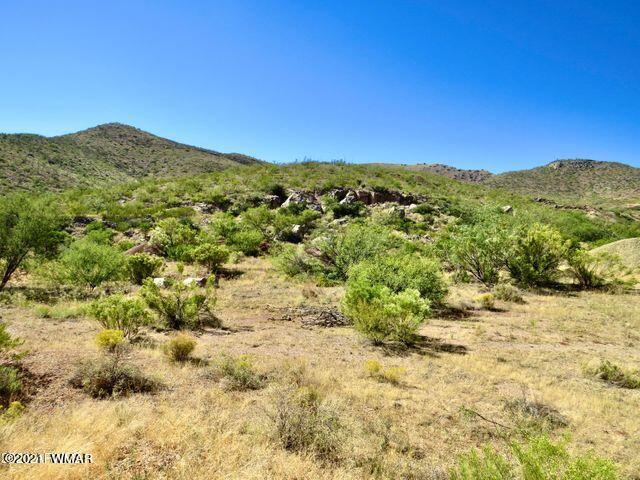 101 Acres Gleeson Az 85610 Pearce, AZ 85625 - Photo 23 of 24