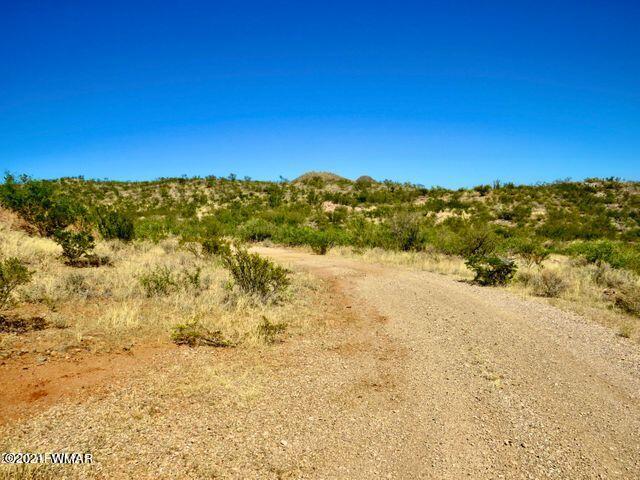 101 Acres Gleeson Az 85610 Pearce, AZ 85625 - Photo 3 of 24