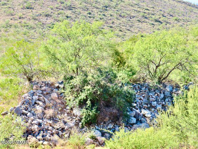 101 Acres Gleeson Az 85610 Pearce, AZ 85625 - Photo 4 of 24