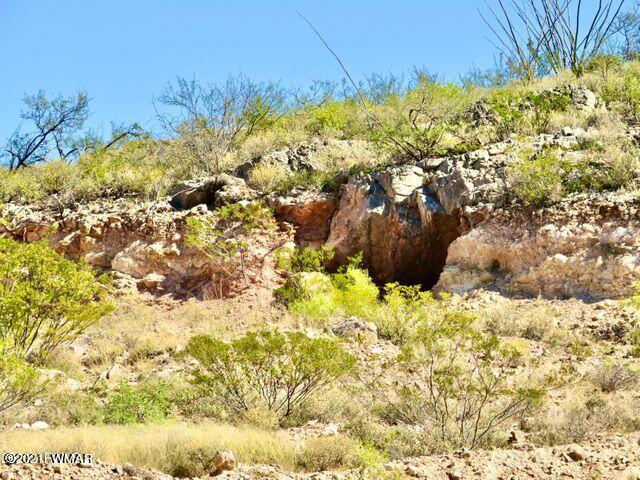 101 Acres Gleeson Az 85610 Pearce, AZ 85625 - Photo 5 of 24