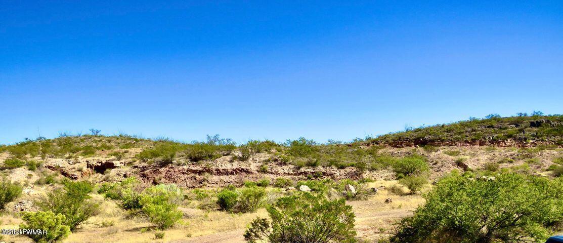 101 Acres Gleeson Az 85610 Pearce, AZ 85625 - Photo 7 of 24