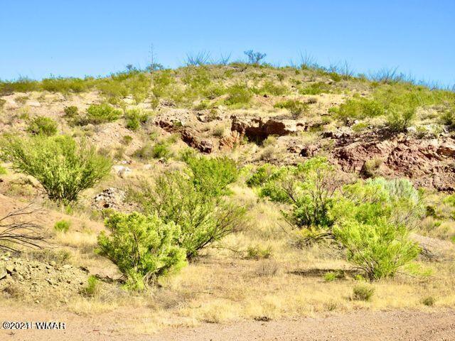 101 Acres Gleeson Az 85610 Pearce, AZ 85625 - Photo 8 of 24
