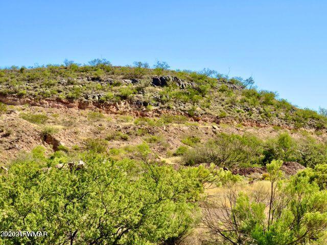 101 Acres Gleeson Az 85610 Pearce, AZ 85625 - Photo 9 of 24