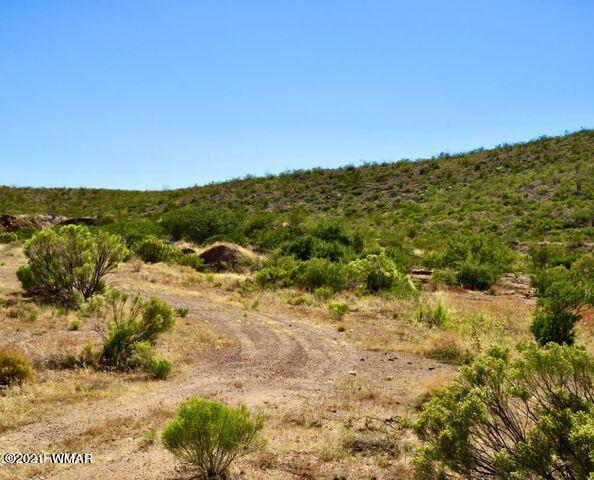 101 Acres Gleeson Az 85610 Pearce, AZ 85625 - Photo 10 of 24