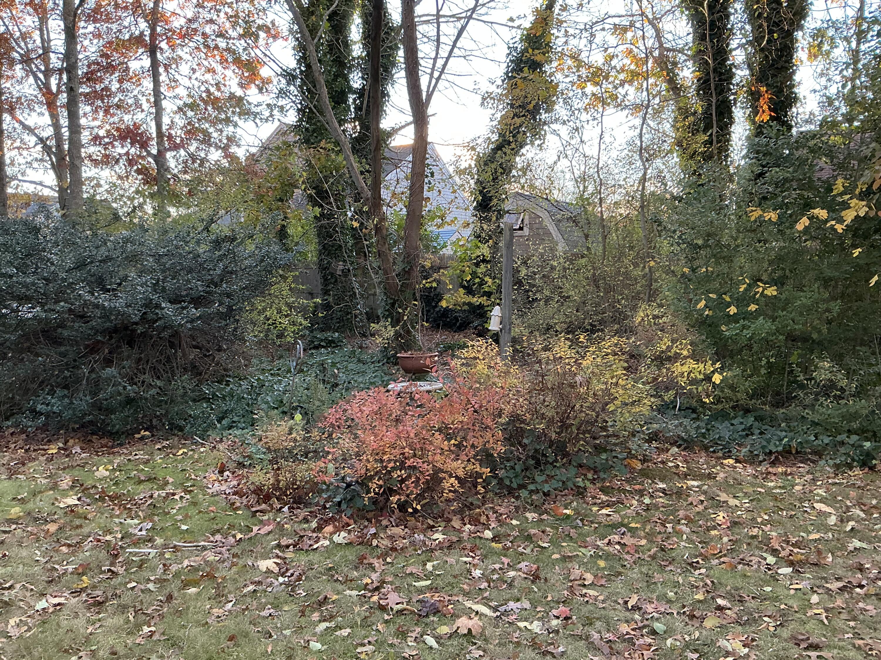 29 Windshore Drive Hyannis, MA 02601 - Photo 25 of 32 a view of a forest with trees in back