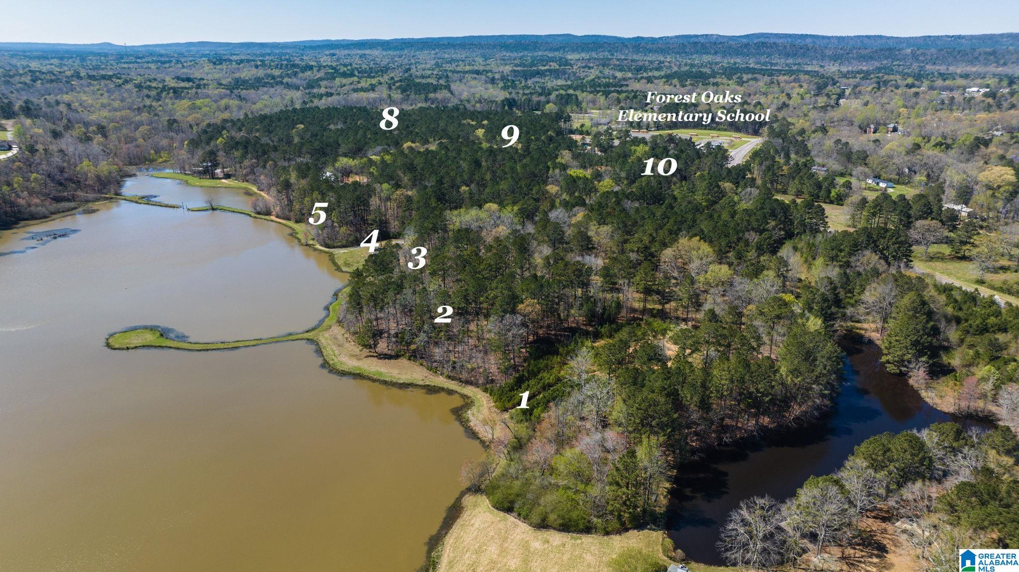 0 Beech Hollow, Unit 3 Chelsea, AL 35043 - Photo 4 of 11