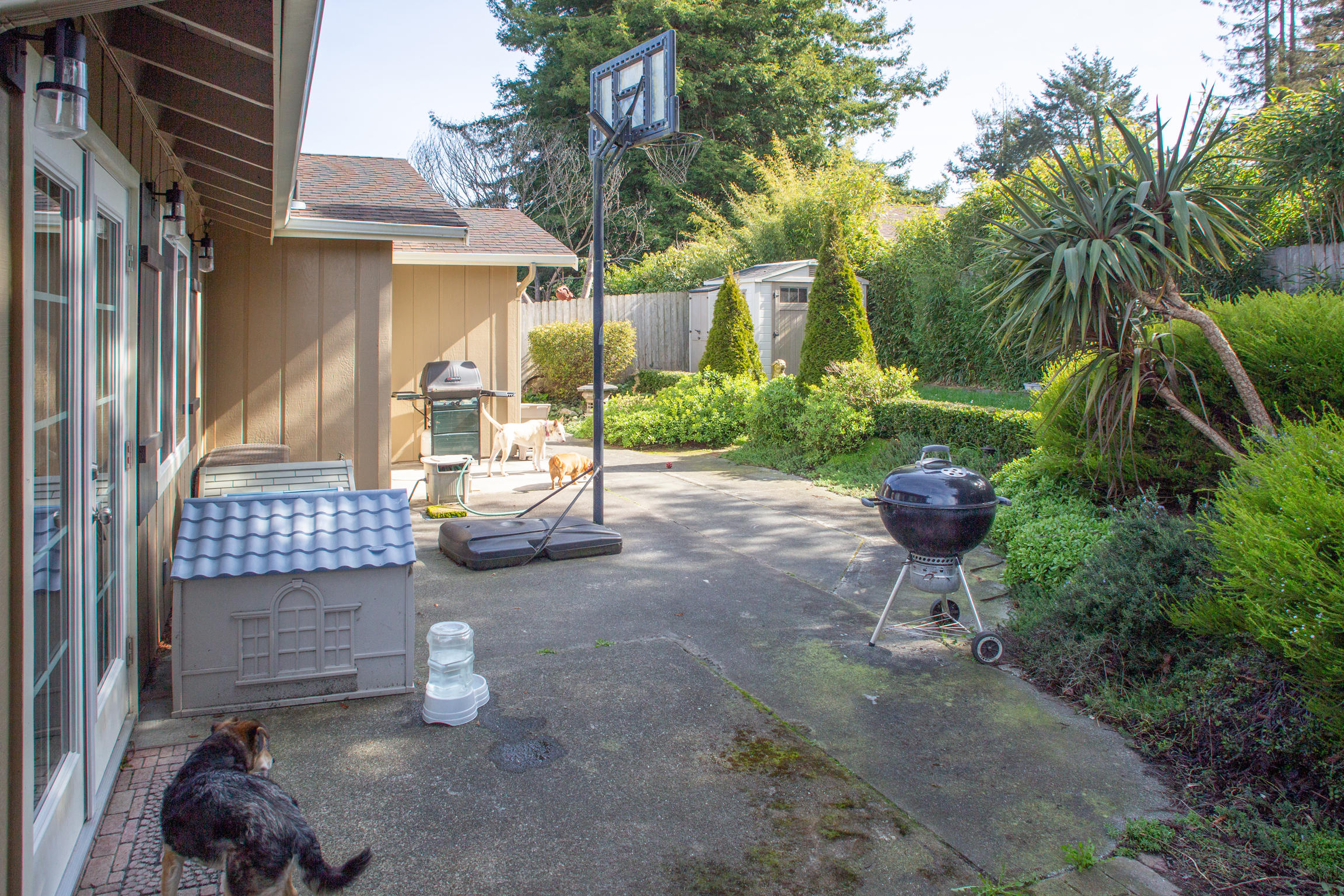 1396 Leslie Road Cutten, CA 95503 - Photo 25 of 40 _A2B8915
